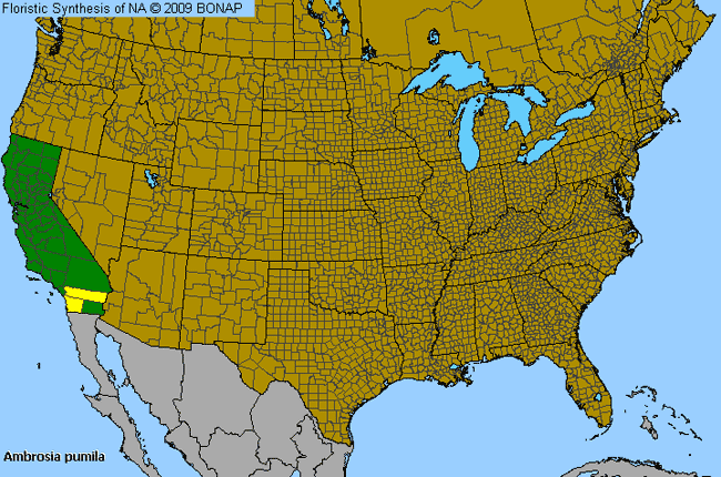 Allergies By County Map For Dwarf Burr-Ragweed