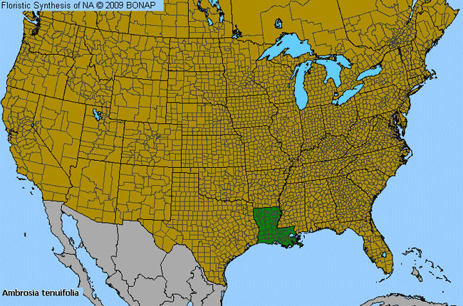 Allergies By County Map For Slim-Leaf Burr-Ragweed