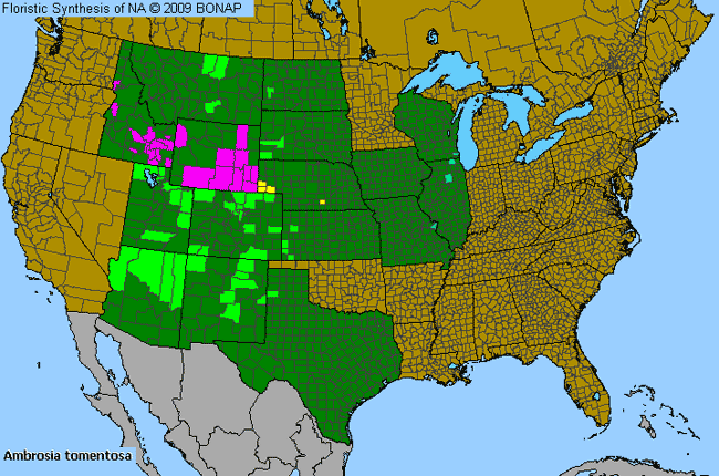 Allergies By County Map For Skeleton-Leaf Burr-Ragweed