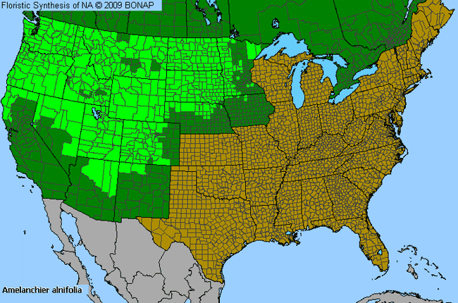 Allergies By County Map For Saskatoon Service-Berry