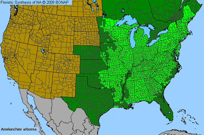 Allergies By County Map For Downy Service-Berry