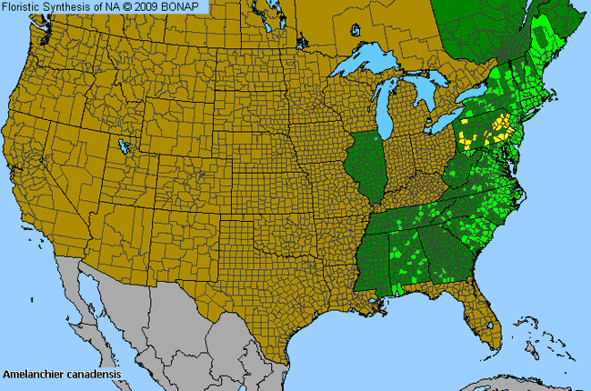 Allergies By County Map For Canadian Service-Berry