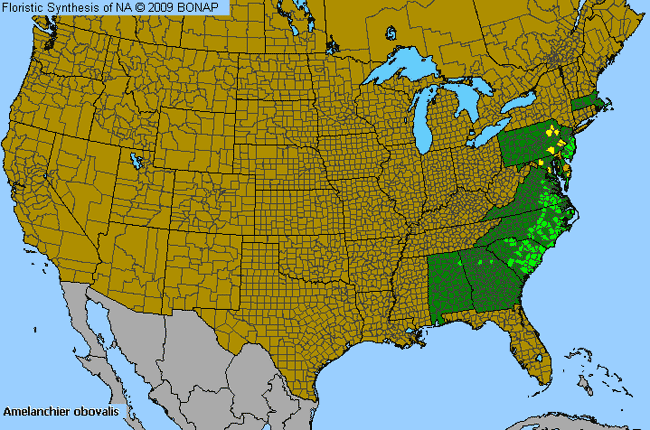 Allergies By County Map For Coastal Service-Berry