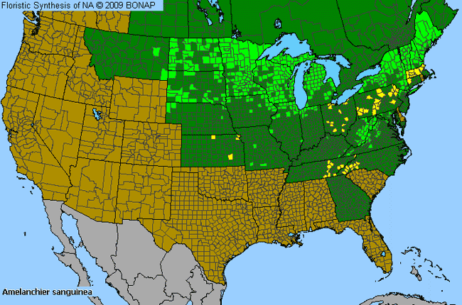 Allergies By County Map For Round-Leaf Service-Berry