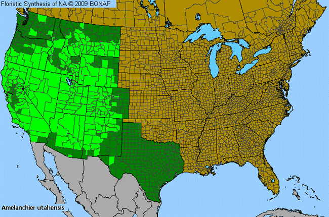 Allergies By County Map For Utah Service-Berry