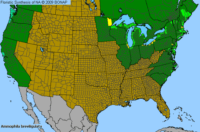 Allergies By County Map For American Beach Grass