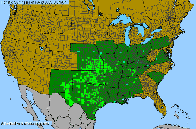 Allergies By County Map For Prairie Broomweed