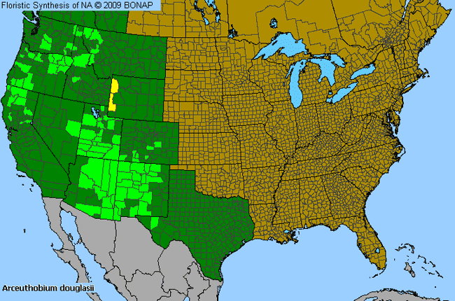 Allergies By County Map For Douglas-Fir Dwarf-Mistletoe