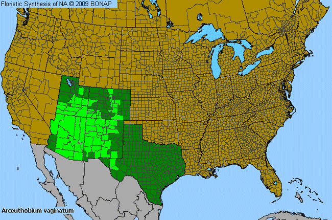 Allergies By County Map For Pineland Dwarf-Mistletoe