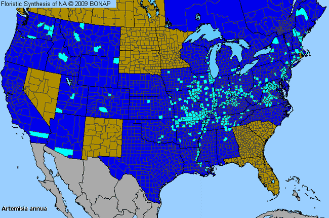 Allergies By County Map For Annual Wormwood