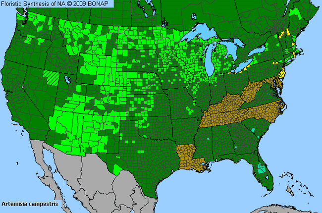 Allergies By County Map For Pacific Wormwood