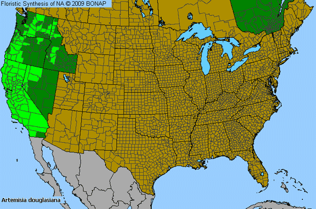 Allergies By County Map For Douglas' Wormwood