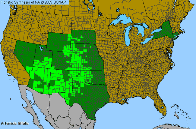 Allergies By County Map For Silver Sagebrush