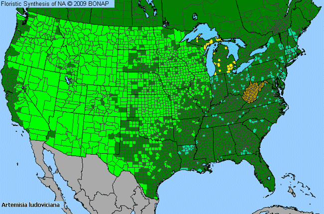 Allergies By County Map For White Sagebrush