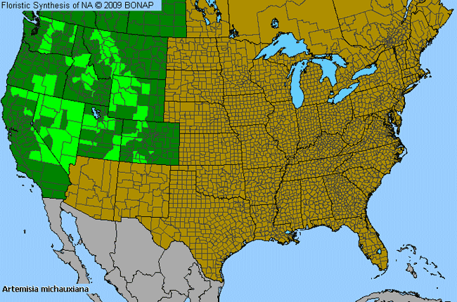 Allergies By County Map For Michaux's Wormwood