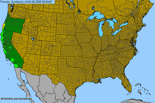 Allergies By County Map For Beach Wormwood