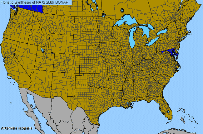 Allergies By County Map For Red-Stem Wormwood