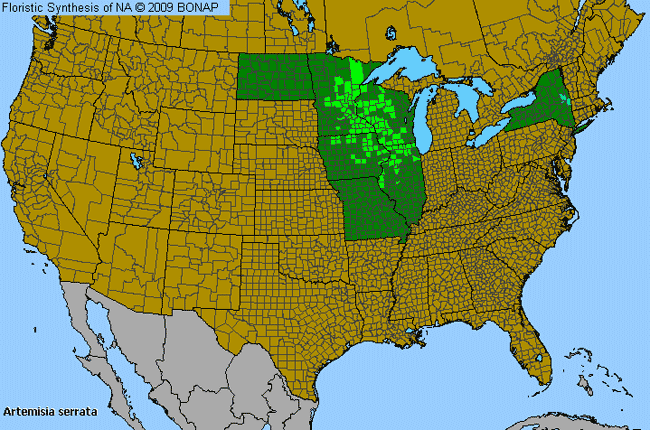 Allergies By County Map For Saw-Tooth Wormwood