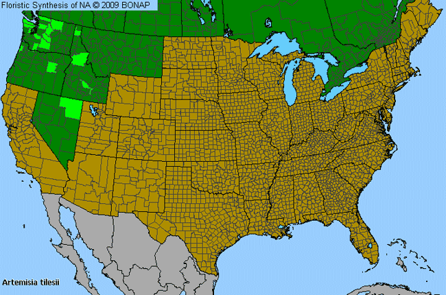 Allergies By County Map For Tilesius' Wormwood