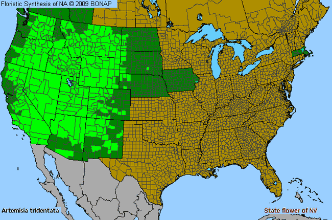 Allergies By County Map For Big Sagebrush