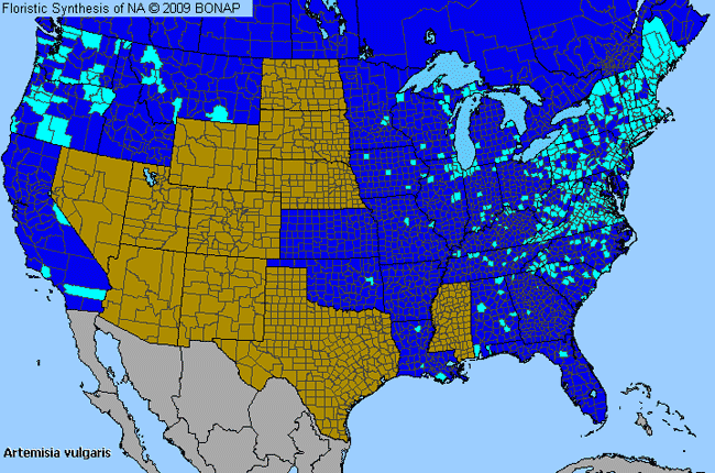 Allergies By County Map For Common Wormwood