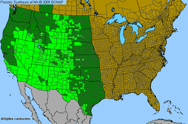 Allergies By County Map For Four-Wing Saltbush