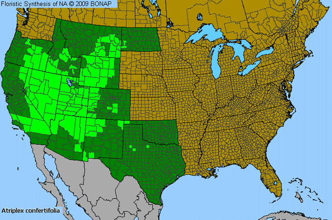 Allergies By County Map For Shadscale