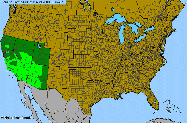 Allergies By County Map For Quailbush