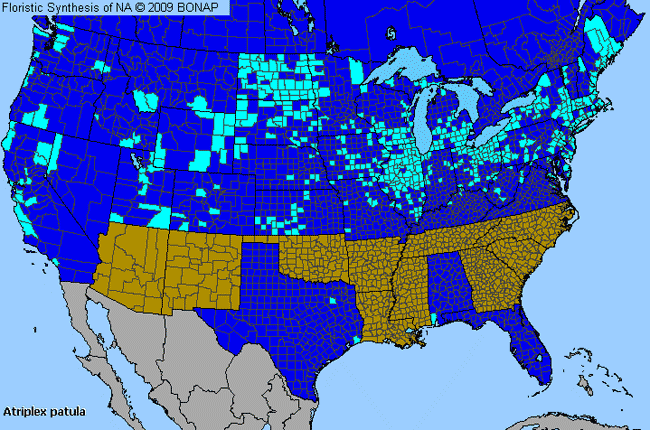 Allergies By County Map For Halberd-Leaf Orache