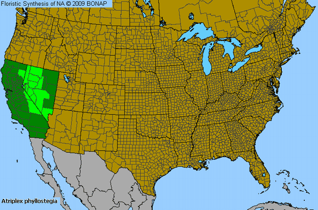 Allergies By County Map For Arrow Saltbush