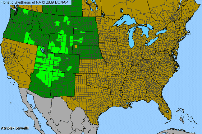 Allergies By County Map For Powell's Orache