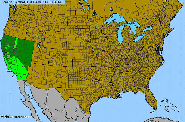 Allergies By County Map For Bracted Saltbush