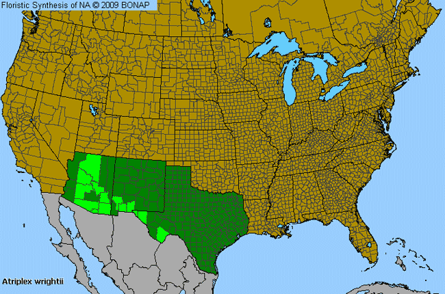 Allergies By County Map For Wright's Saltbush