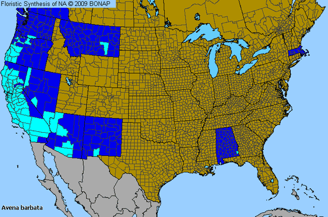 Allergies By County Map For Barbed Oat