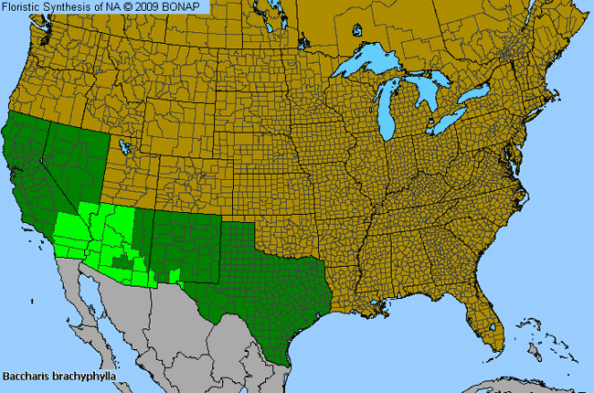 Allergies By County Map For Short-Leaf False Willow