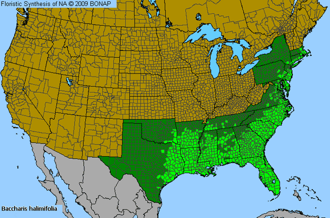 Allergies By County Map For Groundseltree