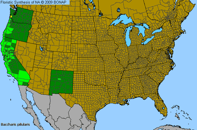 Allergies By County Map For Coyotebrush