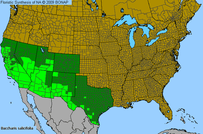 Allergies By County Map For Mule's-Fat