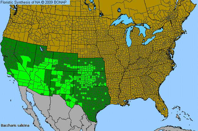 Allergies By County Map For Great Plains False Willow