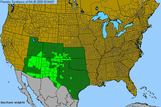 Allergies By County Map For Wright's False Willow