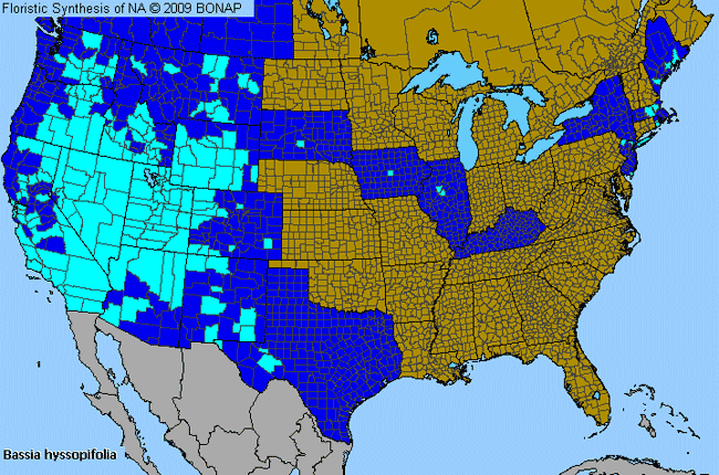 Allergies By County Map For Five-Horn Smotherweed