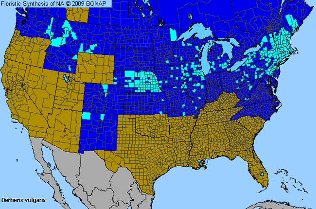 Allergies By County Map For European Barberry