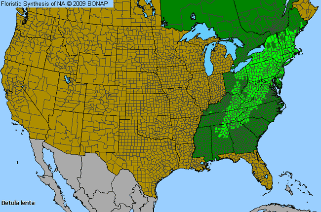 Allergies By County Map For Sweet Birch