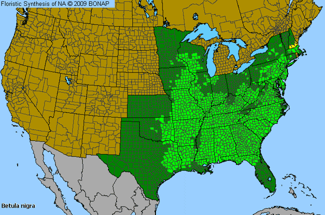 Allergies By County Map For River Birch