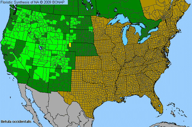 Allergies By County Map For Water Birch