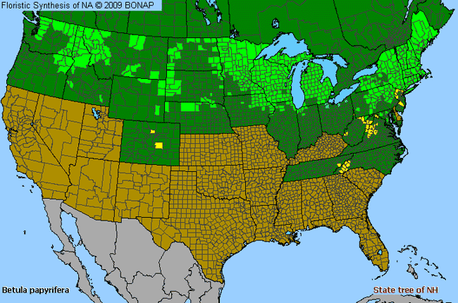 Allergies By County Map For Paper Birch