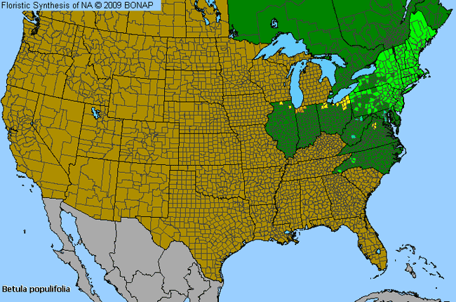 Allergies By County Map For Gray Birch