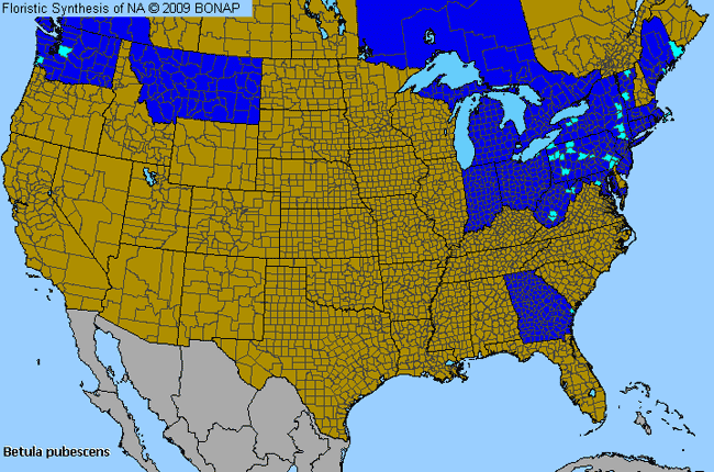 Allergies By County Map For Downy Birch