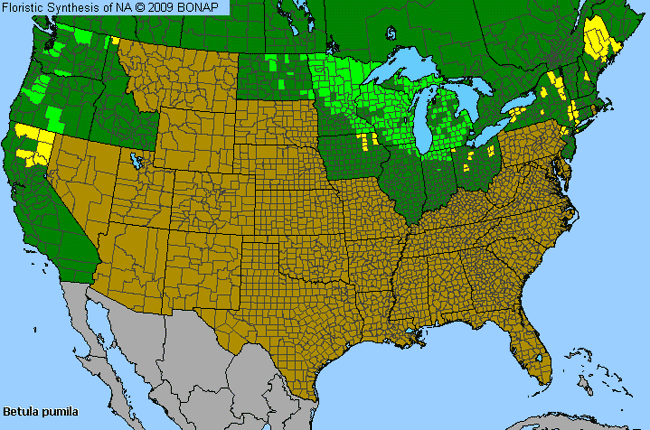 Allergies By County Map For Bog Birch