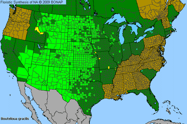 Allergies By County Map For Blue Grama